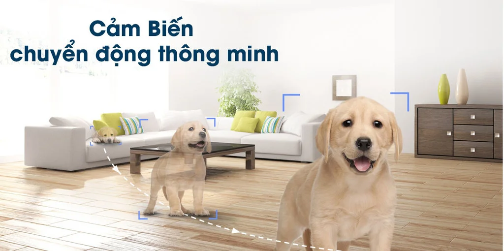 Chế độ cảm biến chuyển động thông minh